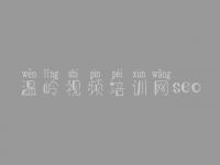 温岭视频培训网seo 实用seo教程