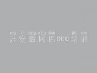 兴安盟网店seo培训_seo新手入门教程
