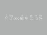 吕梁seo哪里培训好 比较好的网站建设