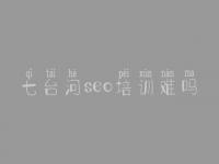 七台河seo培训难吗，网站优化位置