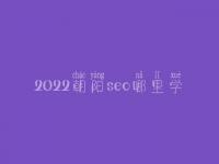 2022朝阳seo哪里学_课程_联系方式