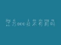 江苏seo技术有用吗_网站做优化