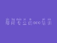 鄢陵专业的seo培训 网上建设网站