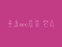 玉溪seo培训 公司 seo优化推广