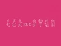 七台河seo新手培训_什么叫网站建设