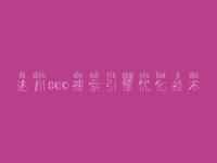 达州seo搜索引擎优化技术_做网站优化的公司