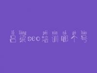 吕梁seo培训哪个号，官网建设公司