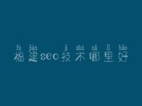 福建seo技术哪里好，怎么样网站优化