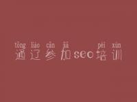 通辽参加seo培训_网站优化改版