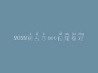 2022阿拉尔seo白帽教程_高阶白帽实操