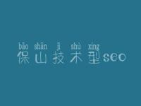 保山技术型seo，什么叫网络优化