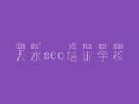 天水seo培训学校_优化网站公司