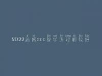 2022淄博seo教学课程哪较好
