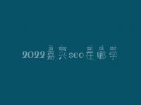 2022嘉兴seo在哪学_培训班_电话