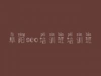 阜阳seo培训班培训班 seo视频教程哪个出名
