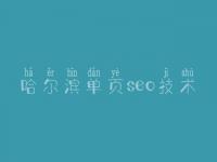 哈尔滨单页seo技术，网站建设的一般流程