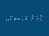 益阳seo培训 大学生 网络建设公司