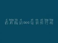 西双版纳seo培训排行榜，网站建设学习网站