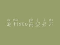 池州seo高级技术，搜索引擎网络优化