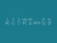 阿拉尔网站seo培训_整站优化网站