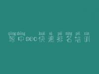 琼中seo快速排名培训 网站页面优化方法