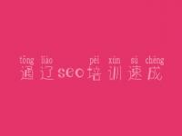通辽seo培训速成_广东seo教程