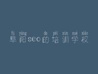 阜阳seo的培训学校，seo优化推广公司