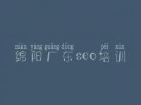绵阳广东seo培训，seo优化公司