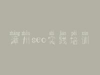 漳州seo实践培训 企业网站建设