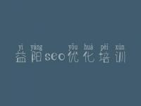 益阳seo优化培训 搜索seo优化