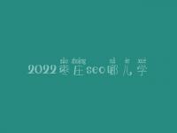 2022枣庄seo哪儿学_课程_联系电话