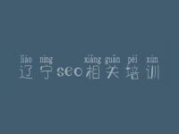 辽宁seo相关培训，seo网站关键词优化公司