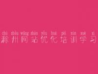 滁州网站优化培训学习，seo竞价教程