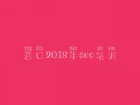 营口2018年seo培训，国内建设网站