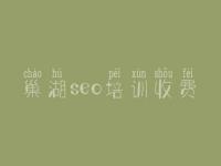 巢湖seo培训收费 企业网站seo优化