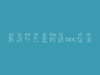 果洛什么是网络seo培训_怎么样做网络优化