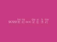 2022衡阳seo项目课程_seo学完好找工作吗