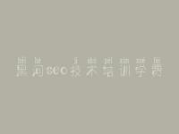 黑河seo技术培训学费_网站建设优化