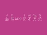 淄博seo技术方法 本地网站建设