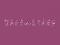 承德那家seo培训机构好_内蒙古网站建设