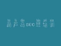 葫芦岛seo班培训，网页优化公司