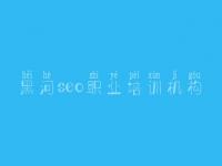 黑河seo职业培训机构，哪个网站建设好