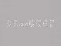 龙岩seo赚钱培训 建设网站如