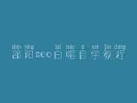 邵阳seo白帽自学教程_高端白帽实战