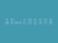 柳州seo系统培训学费，seo相关教程