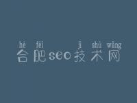 合肥seo技术网_seo排名优化公司