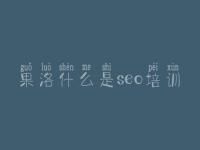 果洛什么是seo培训 seo零基础教程