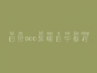 白银seo黑帽自学教程_精品黑帽实操