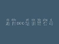 池州seo培训班公司 网页制作建设