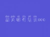 韶关哪有培训seo 网站建设业务